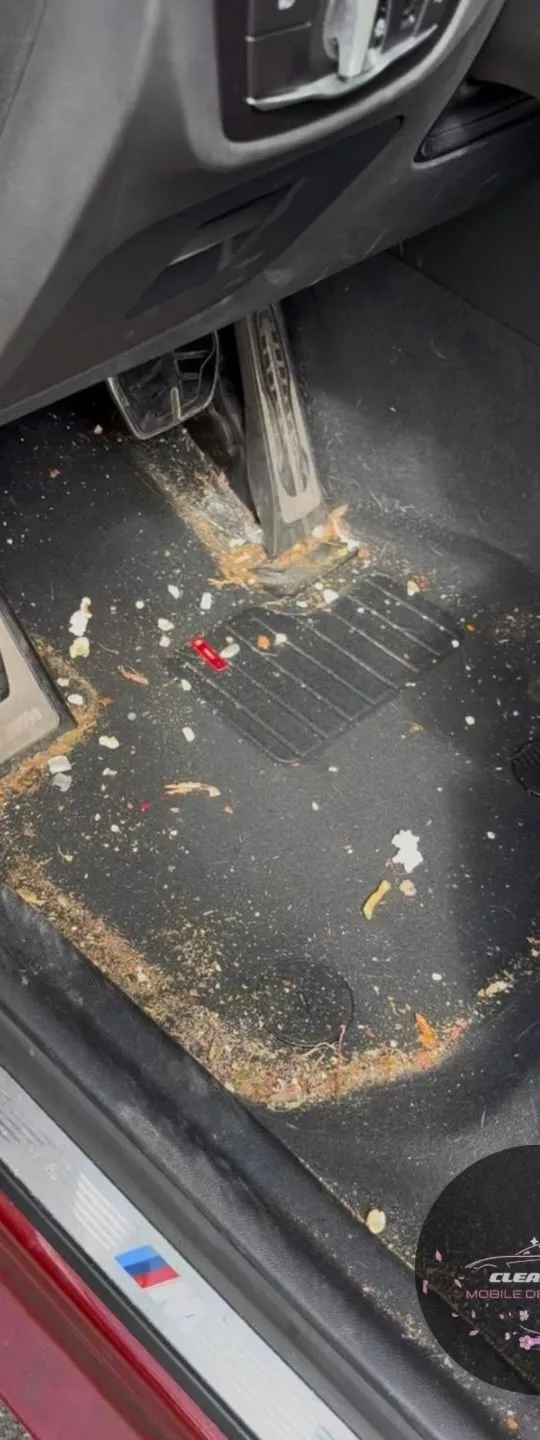 Before: floor mat covered in dirt, crumbs and debris